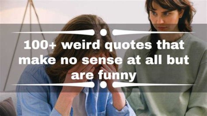 100+ weird quotes that make no sense at all but are funny Tuko.co.ke