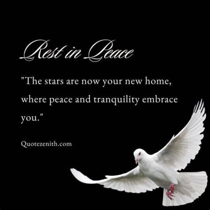 102 Rest In Peace Quotes To Comfort Someone Who Is Grieving