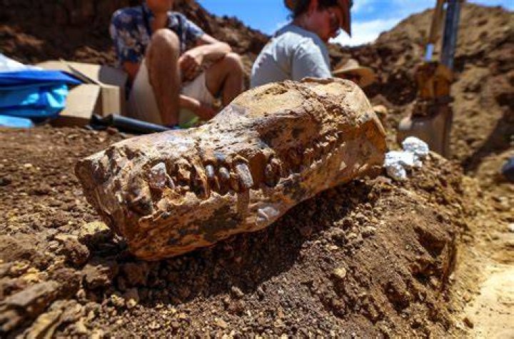 5 Big Archaeology Discoveries to Watch for in 2020 Live Science