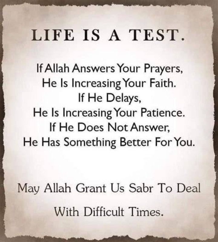 50 Best Islamic Quotes About Patience Patience quotes, Islamic quotes