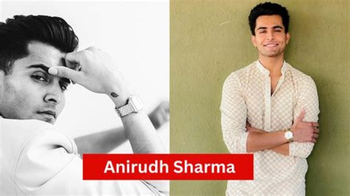 Anirudh Sharma Biography, Age, Images, Height, Figure, Net Worth &raquo; Bioofy