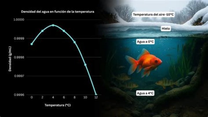 As&iacute; fue c&oacute;mo descubrieron los cuerpos de la actriz de cine para adultos