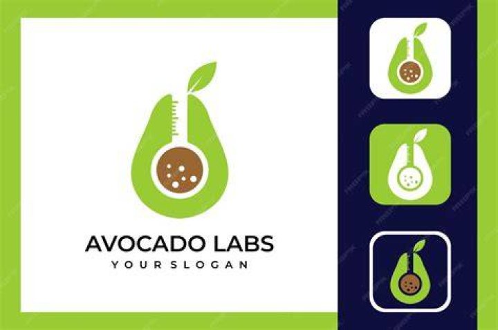 Avocado Labs