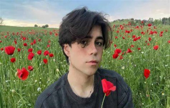 Benji Krol biography, top 9 facts about the blogger, personal life