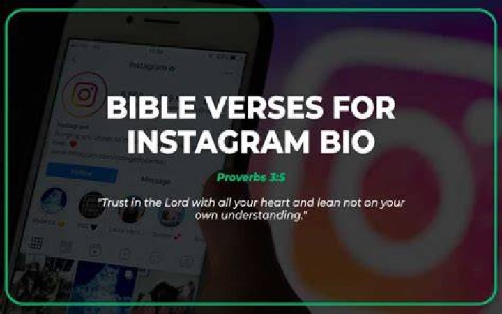 Bible Verses for Instagram Bio Storage Reviews
