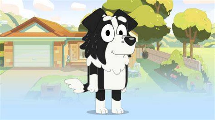 Bluey Mackenzie Dad