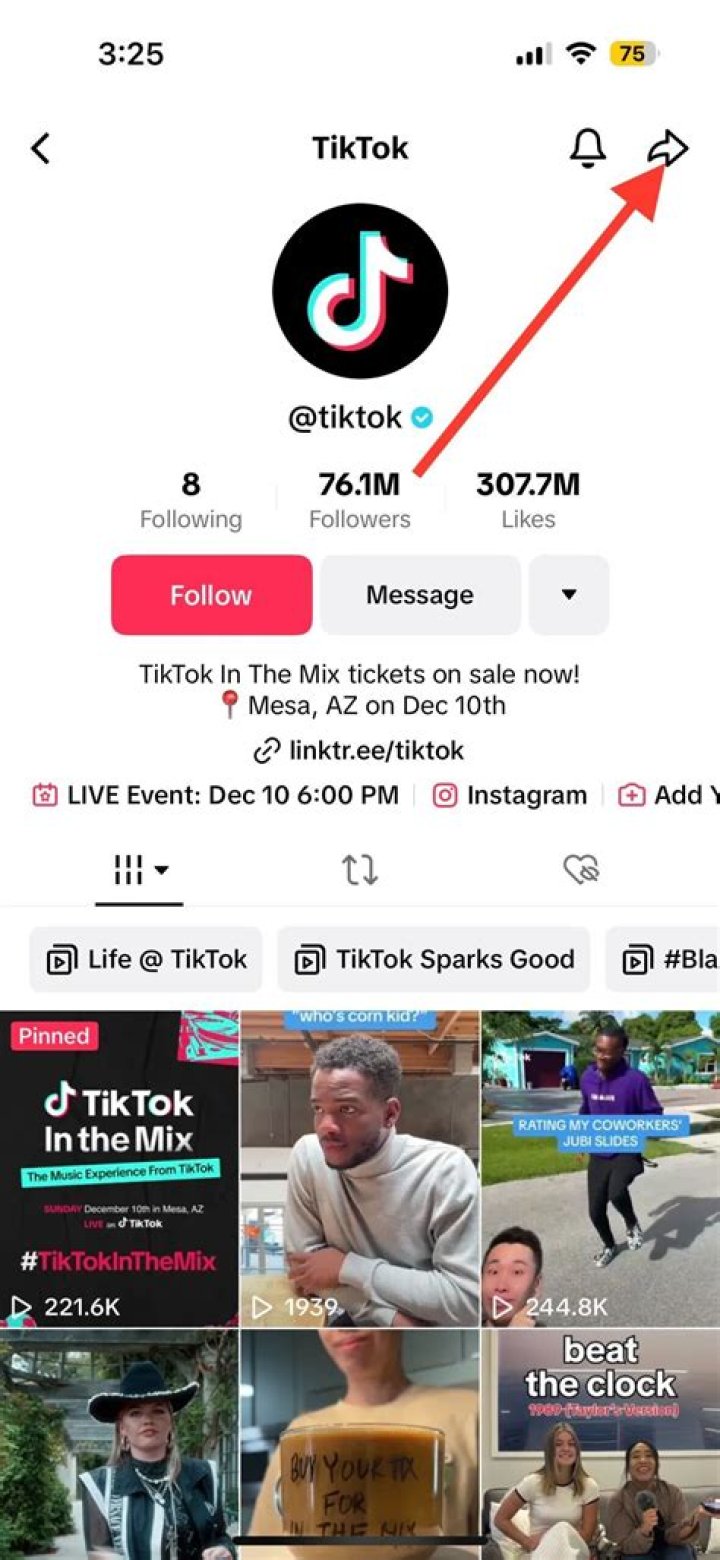Can Blocked Users View Your TikTok Videos?
