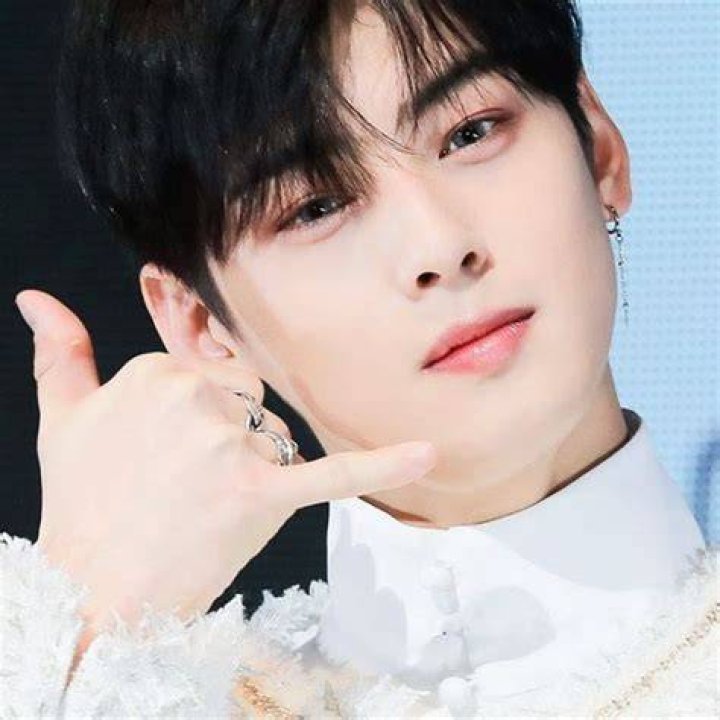 Cha Eunwoo Net Worth, Height, Wiki, Age, Bio Net worth, Cha eun woo