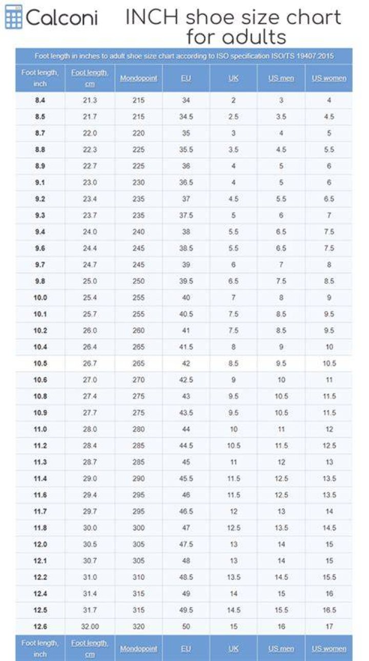Chris Stapleton Shoe Size and Body Measurements Celebrity Shoe Sizes