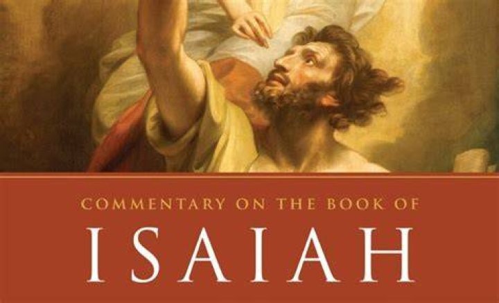 Christian Isaiah talks about 'Shameless,' Vin Diesel, digital age