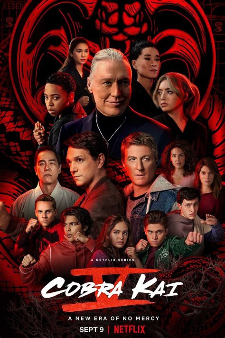 Cobra Kai (TV Series 20182023) Photo Gallery IMDb