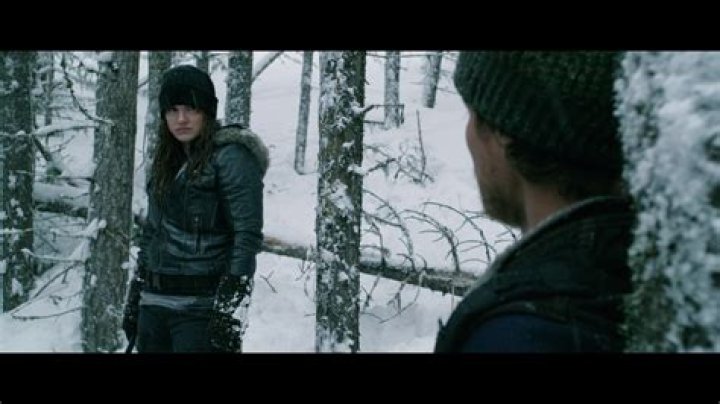 Daughter of the Wolf (2019) &mdash; The Movie Database (TMDB)