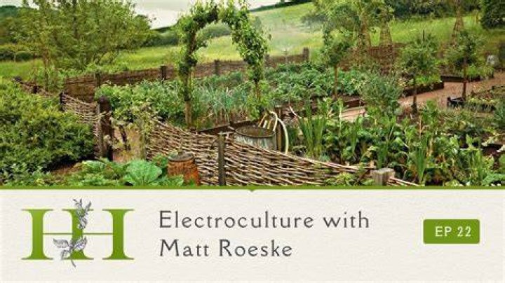 Electroculture Unveiled Exploring Matt Roeske’s Passion and