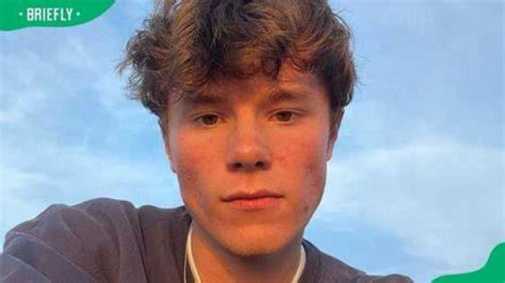 Facts and bio of Edvin Ryding, the Young Royals actor Briefly.co.za