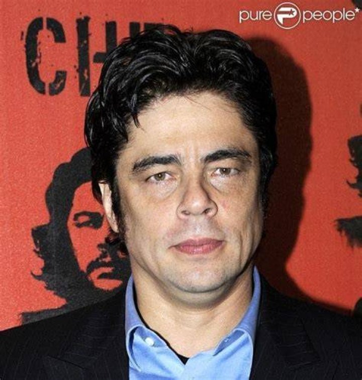 Gallery Tabloid Actress Benicio Del Toro Gallery