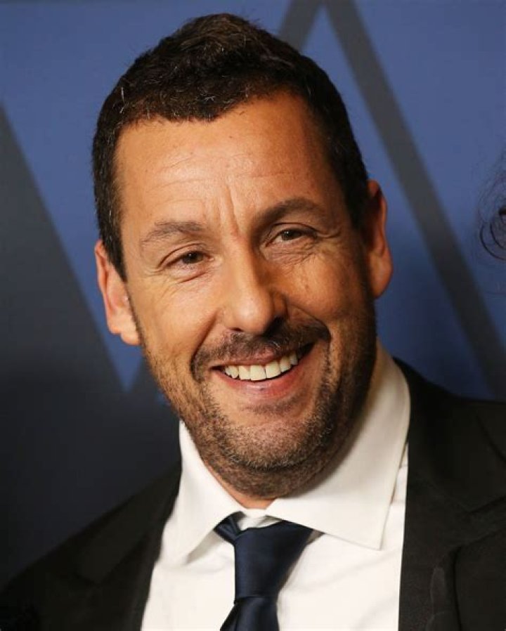 How Sandler nearly died during filming Daily Mercury