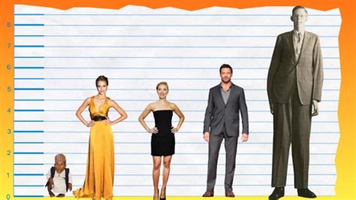 How Tall Is Jessica Alba? Height Comparison! YouTube