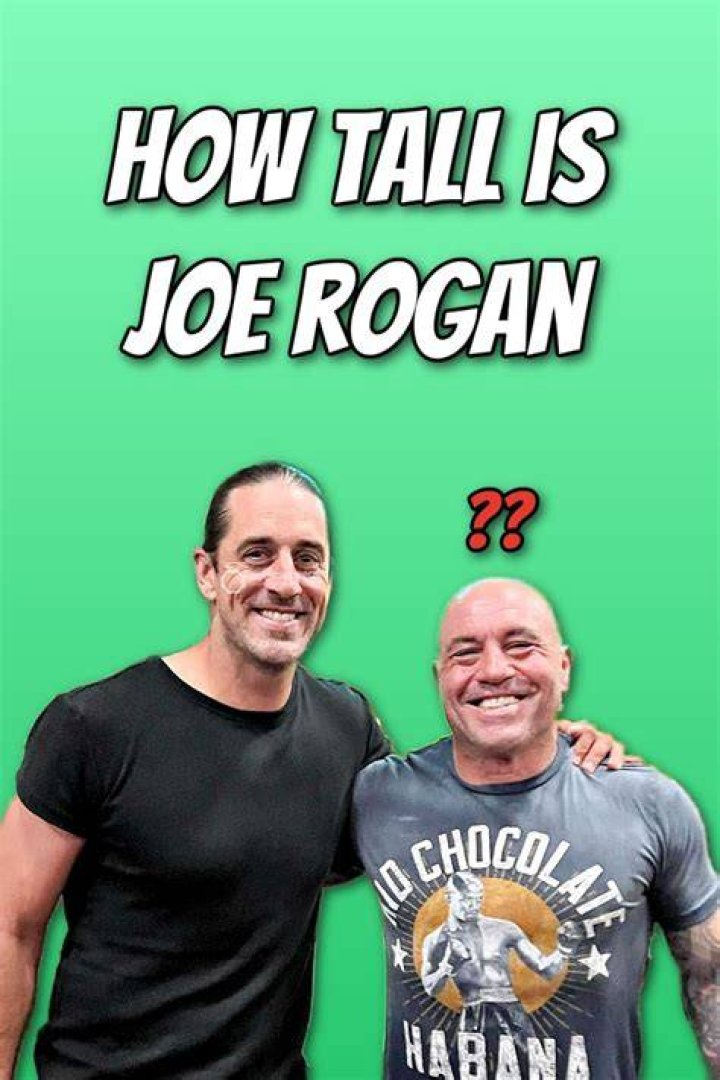 How tall is Joe What is the real height of the Real Housewives star