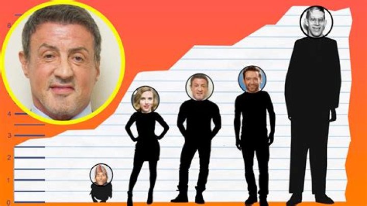 How Tall Is Sylvester Stallone? Sylvester Stallone Height Best Hotels