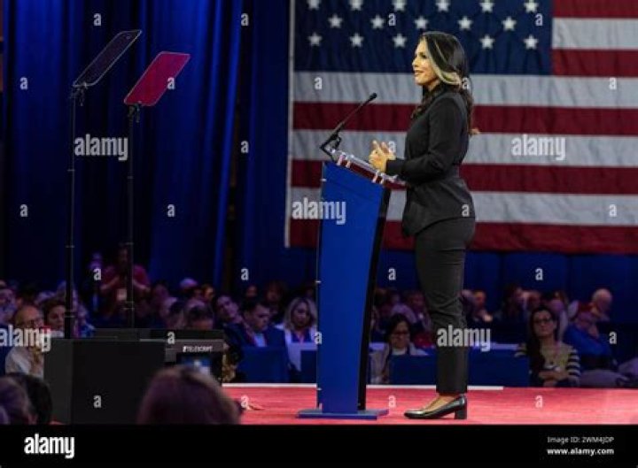 Inside U.S. Rep. Tulsi Gabbard's 'Perfect' … ABCDesis Reddit