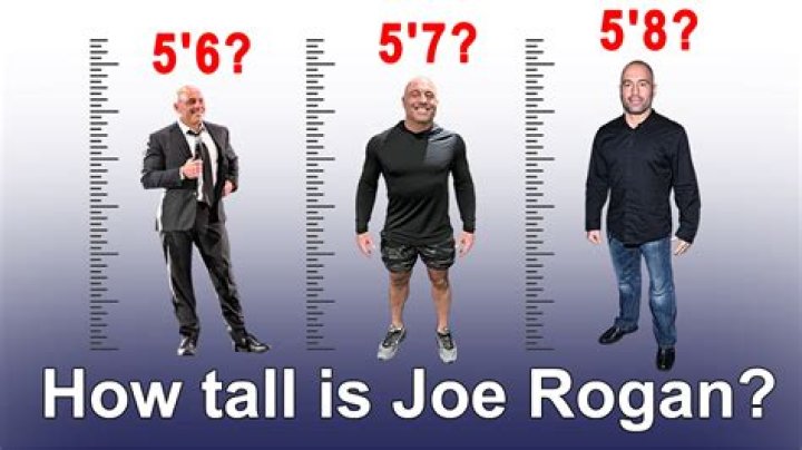 Joe Rogan Biography, Height & Life Story Super Stars Bio