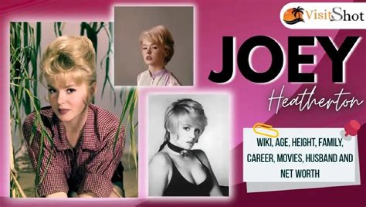 Joey Heatherton Height, Weight, Age, Net Worth, Family, Bio, Salary