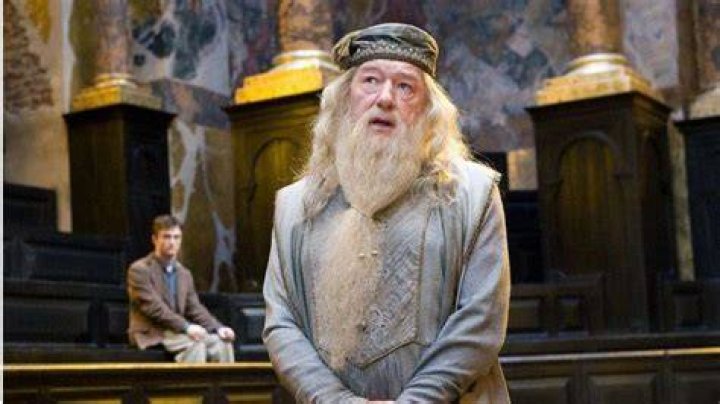 Kenapa Burung Phoenix Sangat Penting di Keluarga Dumbledore?