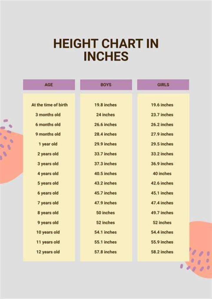 Lizzo&rsquo;s Age & Height 2019 How Old & Tall Is She?