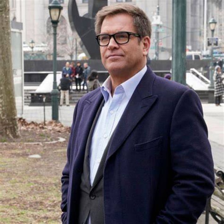 &lsquo;NCIS&rsquo; Star Michael Weatherly &lsquo;Chased&rsquo; His Future Wife & She Didn&rsquo;t