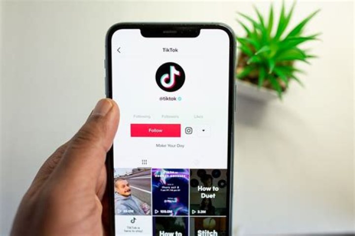 Mayenggo03. El video de TikTok que aterra a