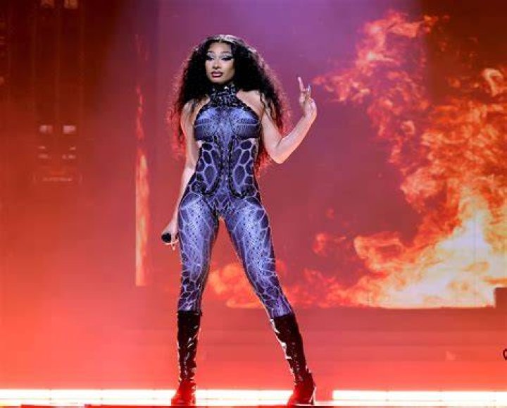 Megan Thee Stallion Le Canal Auditif