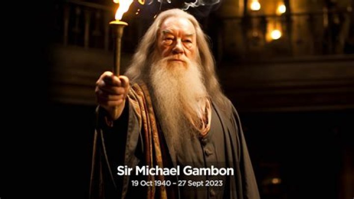 Michael Gambon's Personal Life How Did The 'Harry Potter' Actor