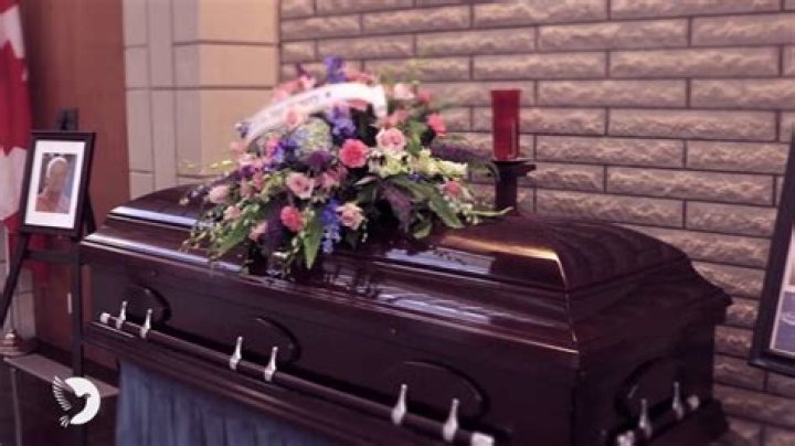 Mike Sebestyen Obituary Death Cause Family Mourns The Loss