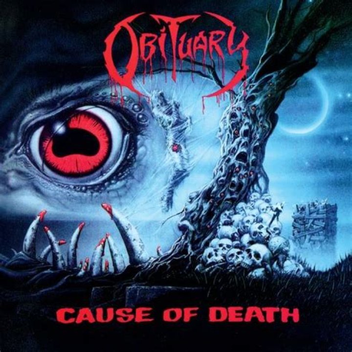 Obituary Cause of Death French Curator Vincent Honor&eacute;, Renowned for