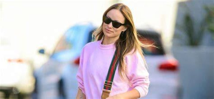 Olivia Wilde slammed for 'homophobic' comments in past interviews as
