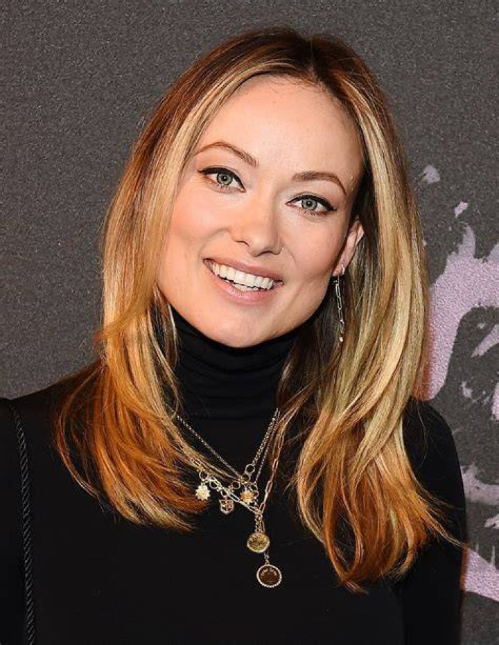 Olivia Wilde&rsquo;s Husband Facts About Ex Tao Ruspoli And Other Former