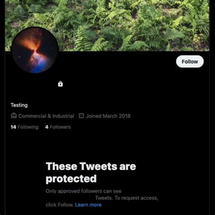 on Twitter "CashApp is that her arm?... or.... https