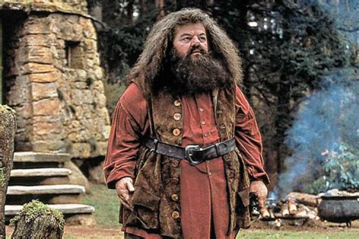 Robbie Coltrane &mdash; The Movie Database (TMDB)