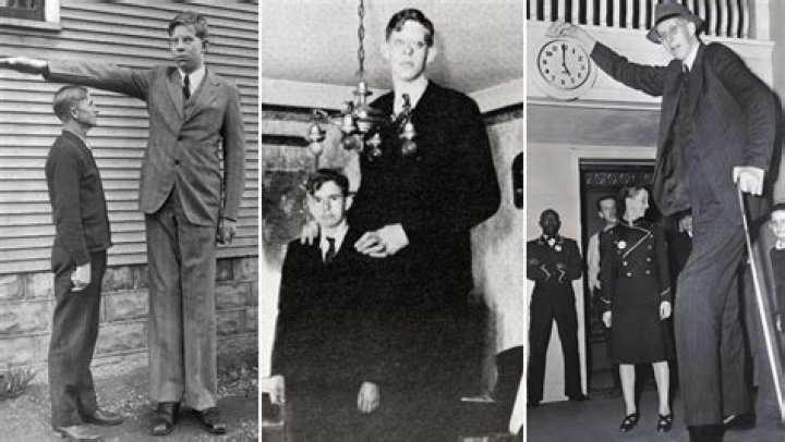 Robert Wadlow: Unraveling The Mystery Of The World's Tallest Man