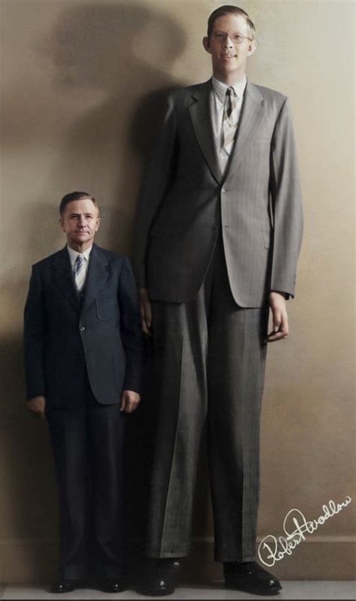 Robert Wadlow weight, height and age. Body measurements!