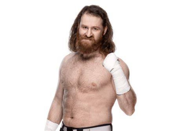 Sami Zayn's Net Worth All About WWE Superstar's OtakuKart