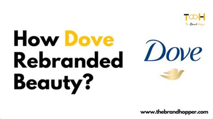 Sandra Dove Company Owner Dove's Light LinkedIn
