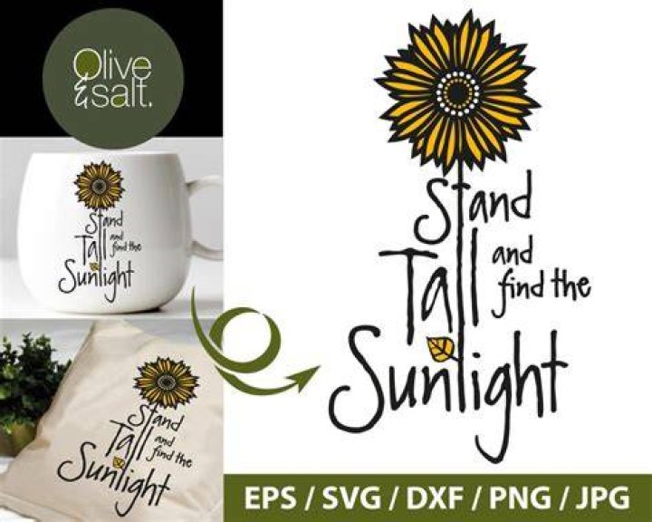 Stand Tall and Find The Sunshine Sublimation PrintN Puttin on the
