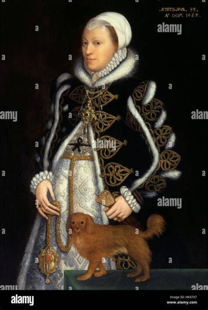 Steven van der Meulen Catherine Carey Lady Knollys 1562 Tudor history