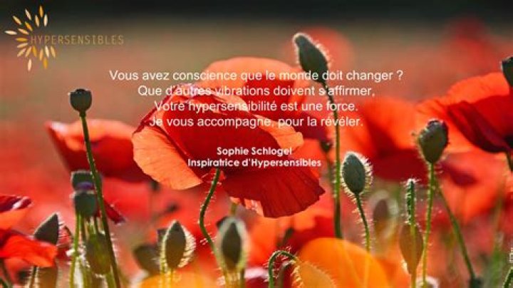 Sur cette page nous vous faisons le classement des meilleurs sites de