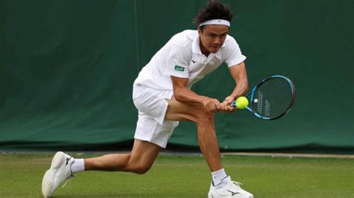 Taro Daniel, Fabian Marozsan Reach Final Round Of Wimbledon Qualifying