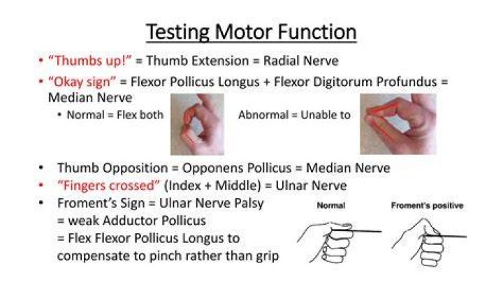 Thumbs Up! Thumb injuries and their management EMCAGE