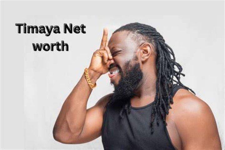 Timaya Net Worth 2021 Forbes, Age, Biography NaijaRemix