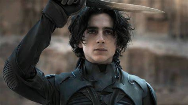 Timoth&eacute;e Chalamet Wallpapers Top Free Timoth&eacute;e Chalamet Backgrounds