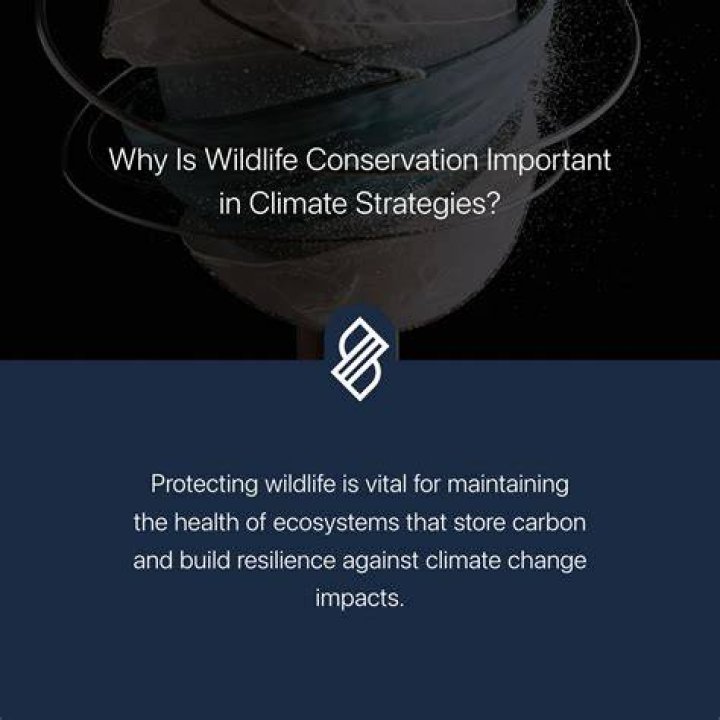 Vital Impacts for wildlife conservation